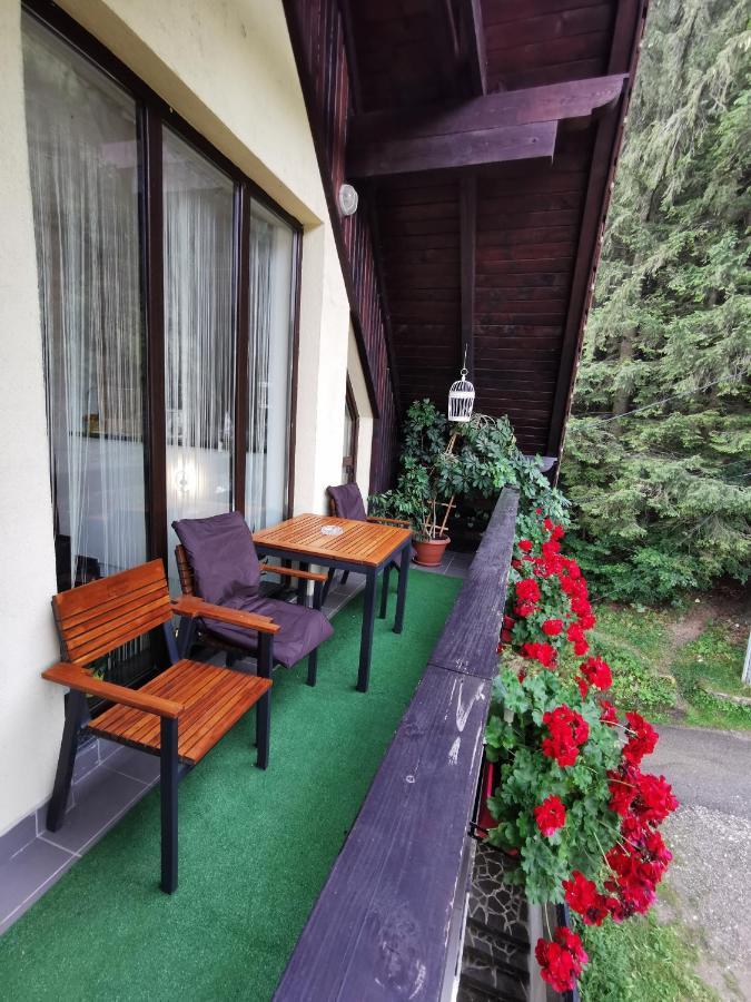 Apartament Kalinderu K1 Buşteni Εξωτερικό φωτογραφία