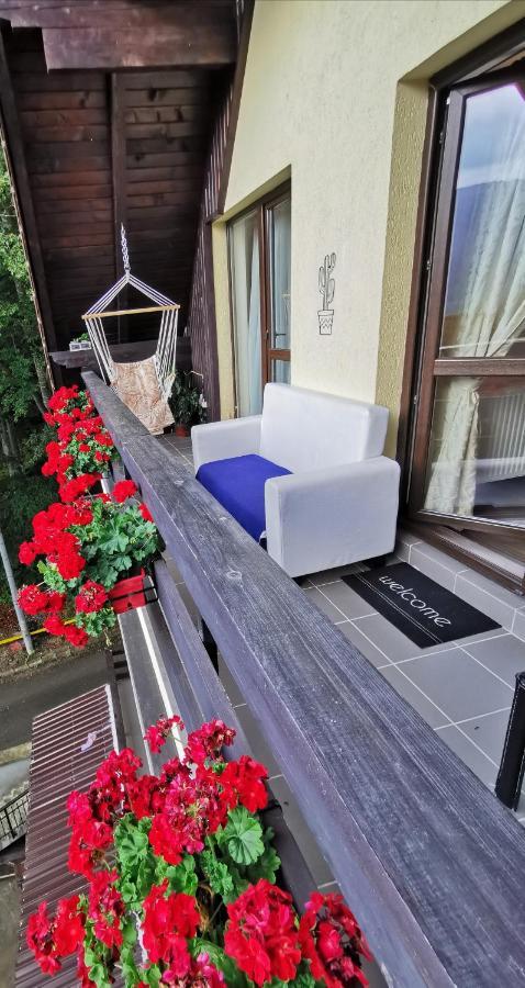 Apartament Kalinderu K1 Buşteni Εξωτερικό φωτογραφία
