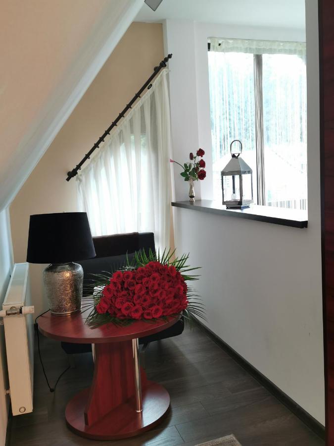 Apartament Kalinderu K1 Buşteni Εξωτερικό φωτογραφία