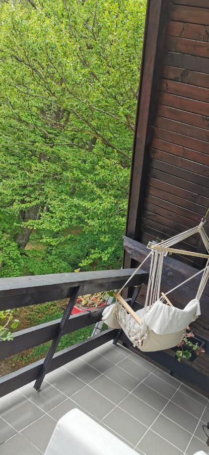 Apartament Kalinderu K1 Buşteni Εξωτερικό φωτογραφία